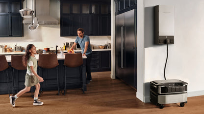EcoFlow Smart Home Panel 2 EFSmartHomePanel2-US